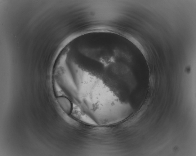 X0000102001482200808081648