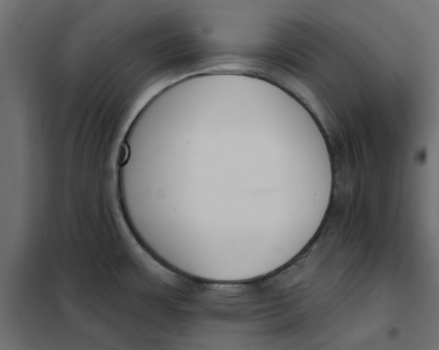 X0000102001483200808081648