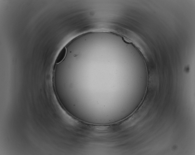 X0000102001484200808081648