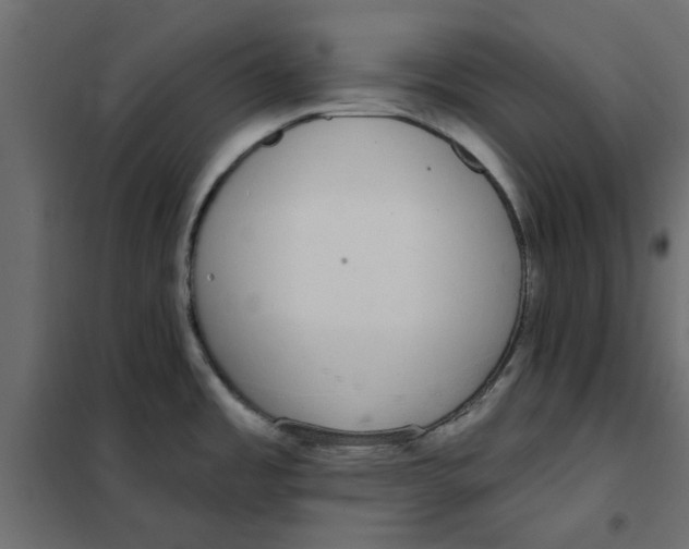 X0000102001485200808081648