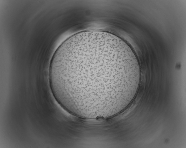 X0000102001487200808081648