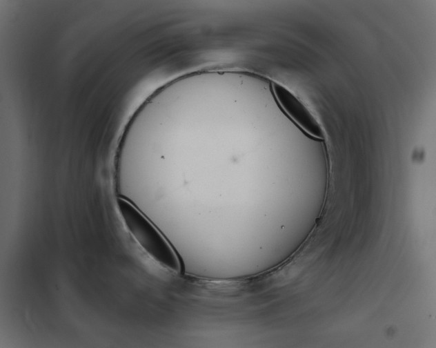 X0000102001488200808081648