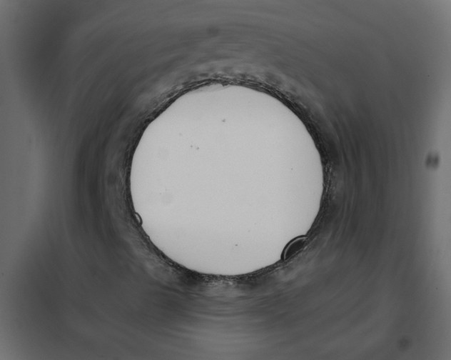 X0000102001489200808081647