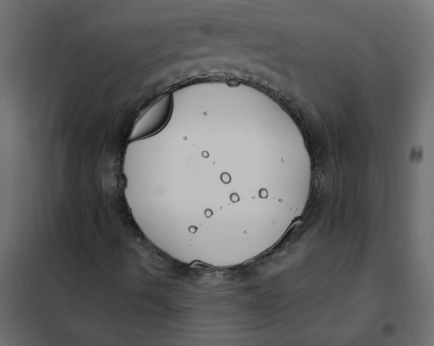 X0000102001490200808081647