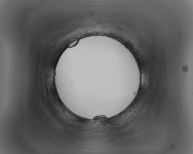 X0000102001492200808081647