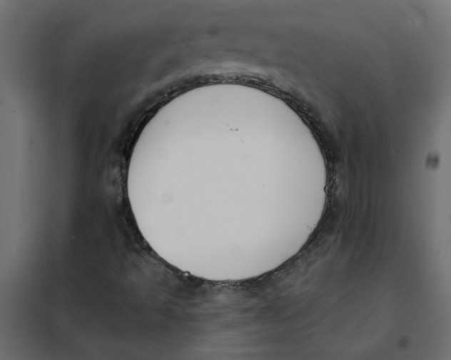 X0000102001493200808081647