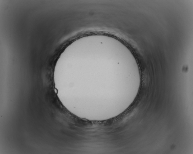 X0000102001494200808081647