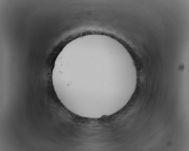 X0000102001495200808081647