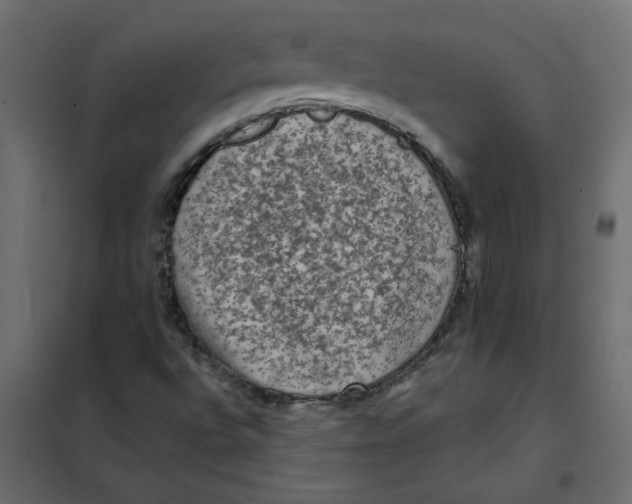 X0000102001496200808081647