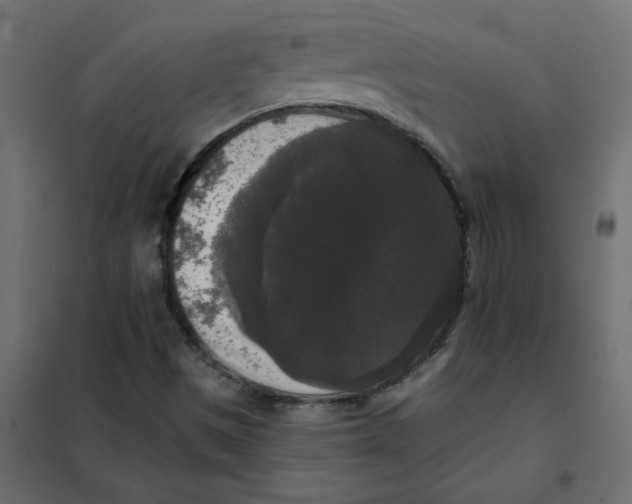 X0000102001497200808081647