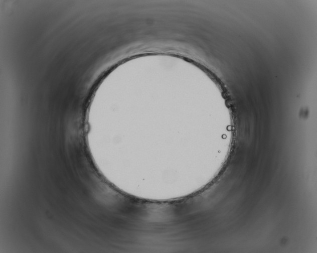 X0000102001498200808081647