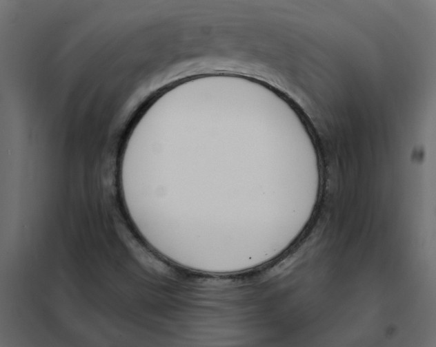 X0000102001499200808081647