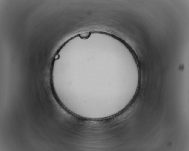 X0000102001500200808081647