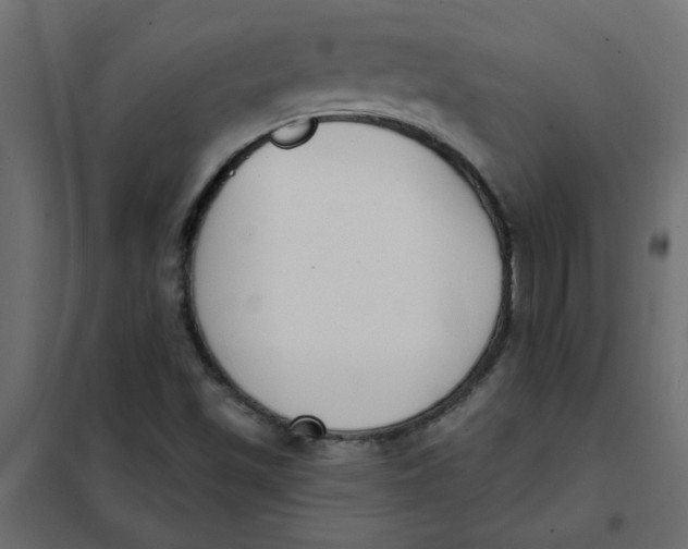 X0000102001501200808081647