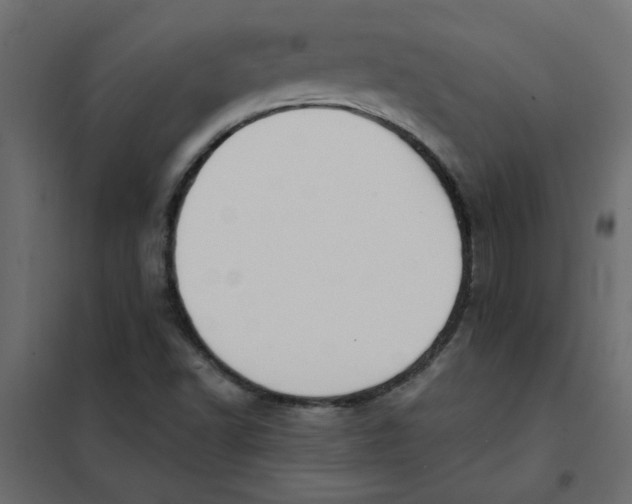 X0000102001502200808081647