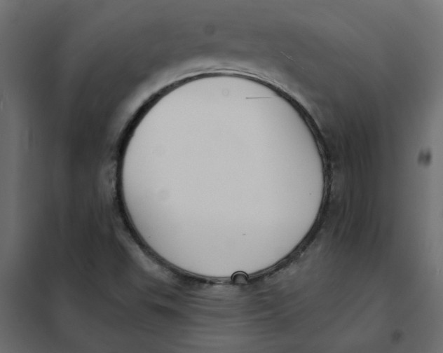 X0000102001503200808081647