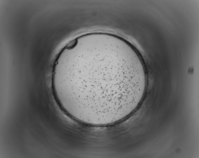 X0000102001504200808081647