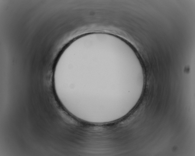 X0000102001507200808081647