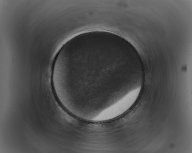 X0000102001508200808081647