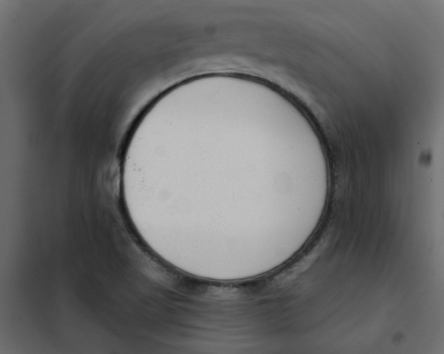 X0000102001509200808081648