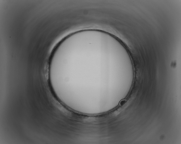 X0000102001510200808081648