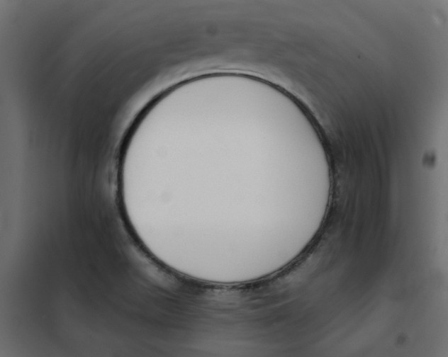 X0000102001511200808081648