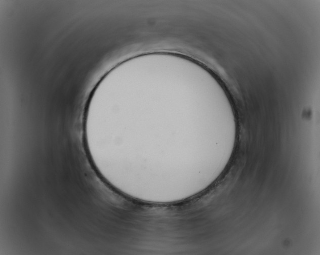 X0000102001512200808081648