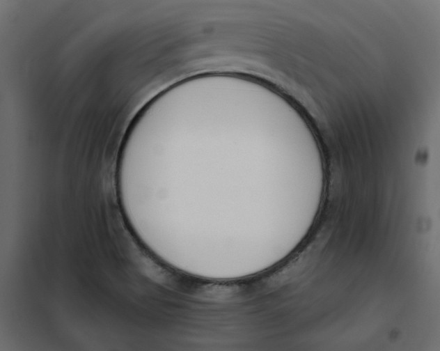 X0000102001513200808081648