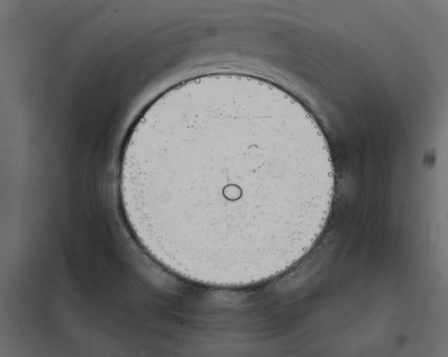 X0000102001514200808081648