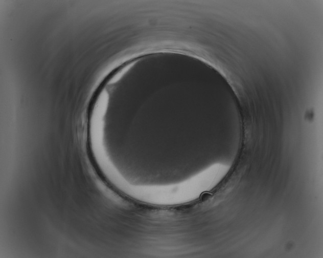 X0000102001515200808081648