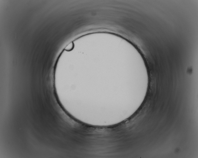 X0000102001516200808081648