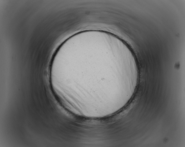 X0000102001517200808081648