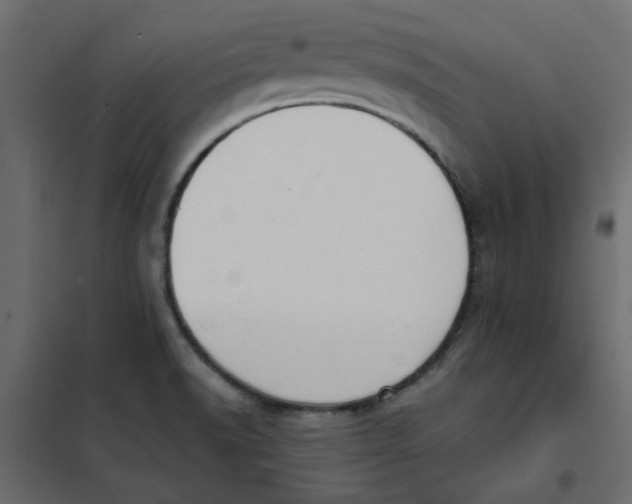 X0000102001518200808081648