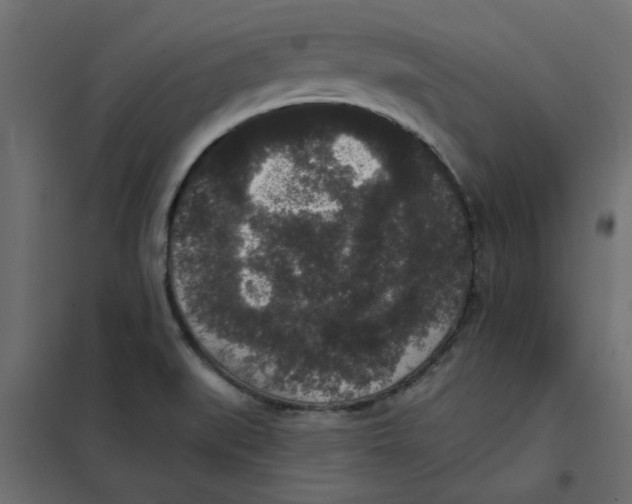 X0000102001519200808081648