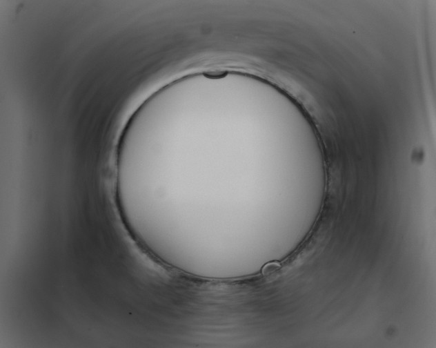 X0000102001520200808081648