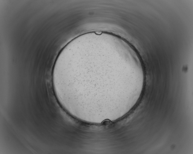 X0000102001521200808081648