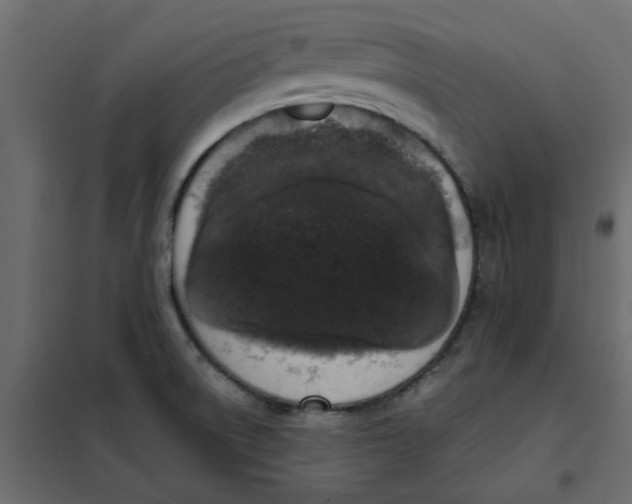 X0000102001522200808081648