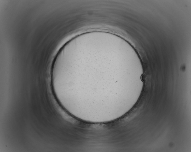 X0000102001523200808081648