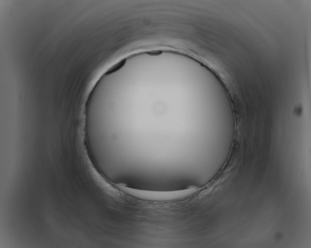 X0000102001524200808081648