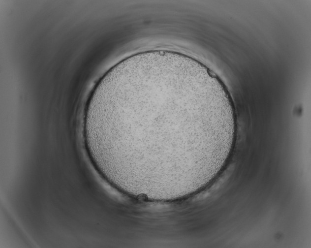 X0000102001525200808081648