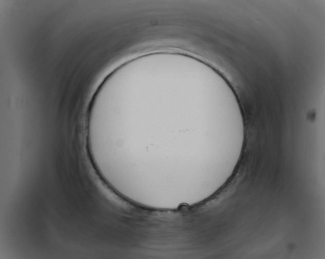 X0000102001526200808081648