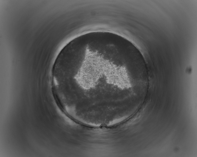 X0000102001527200808081648