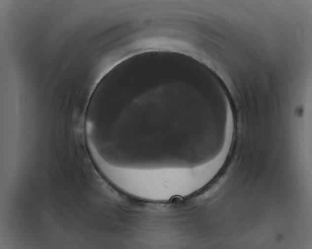 X0000102001529200808081648