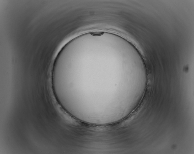 X0000102001530200808081648