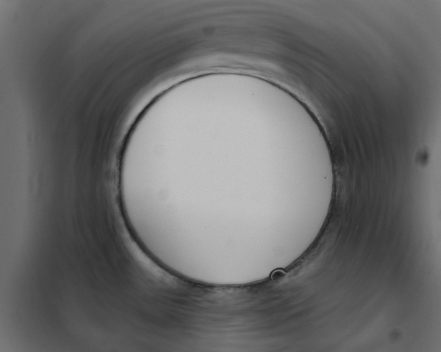 X0000102001531200808081648