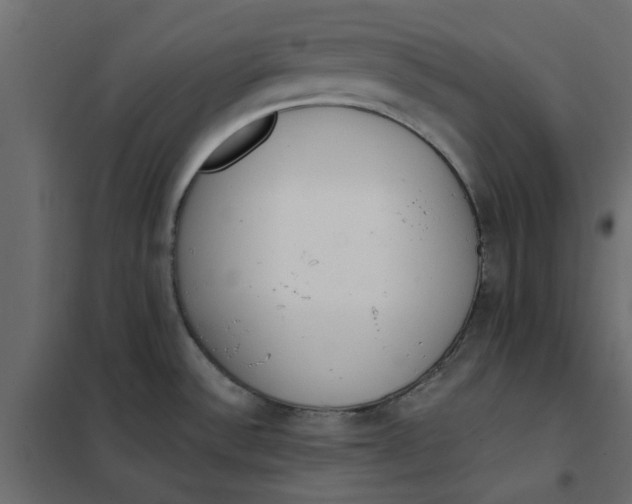 X0000102001532200808081648