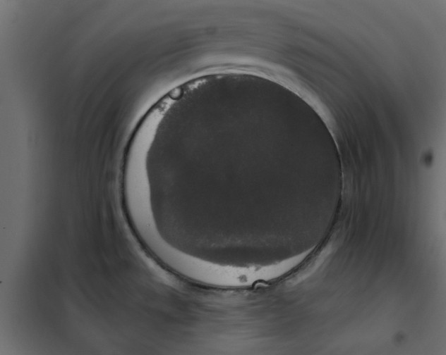 X0000102001533200808081648