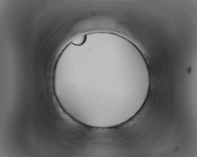 X0000102001534200808081648