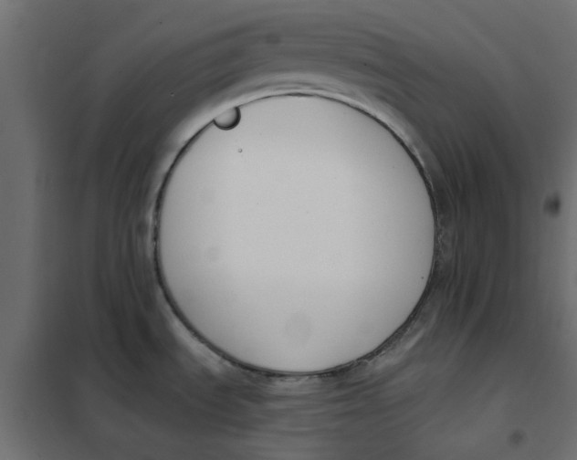 X0000102001535200808081648