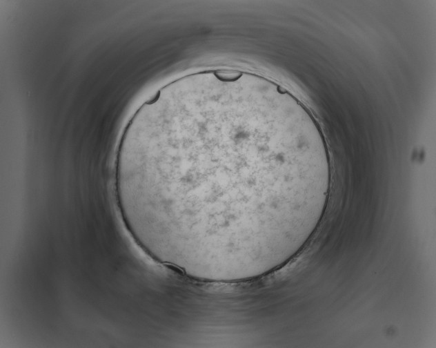 X0000102001536200808081648